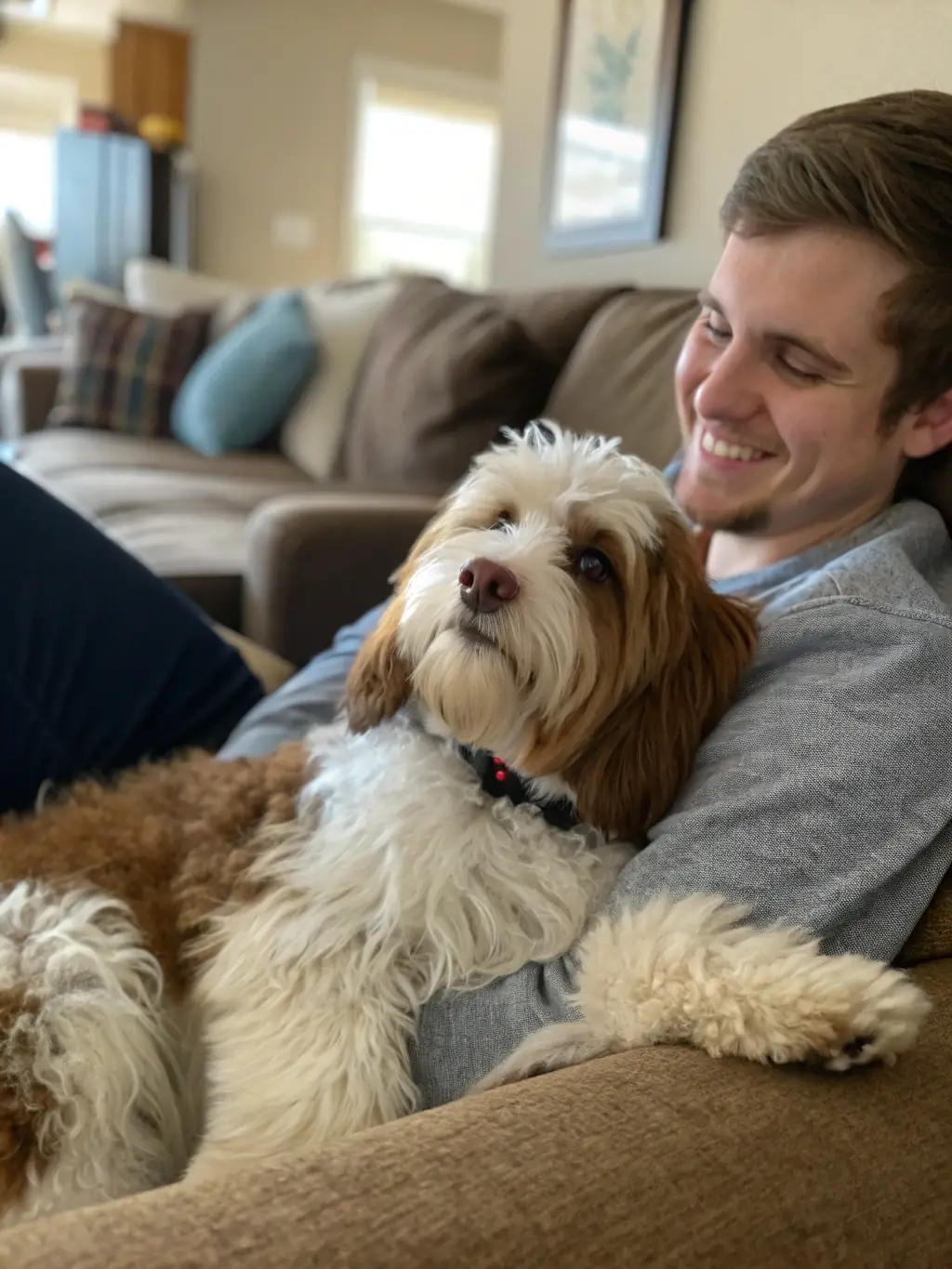 A cozy scene of a dog and cat sleeping comfortably in a home during overnight care, illustrating the companionship and supervision provided by Paws of Brevard.
